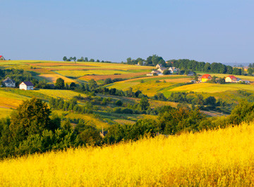 Działki
